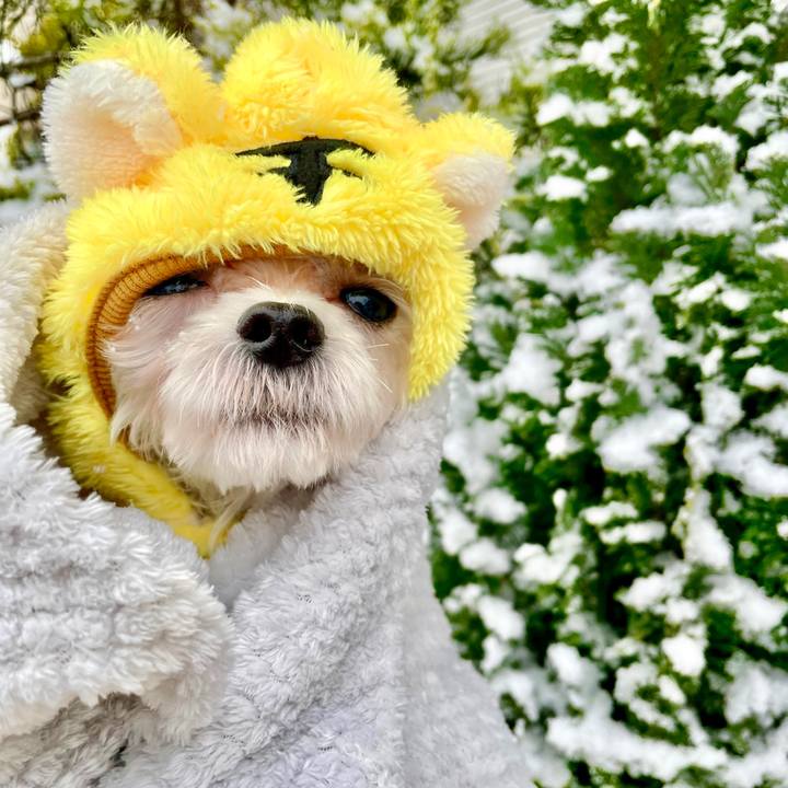 9da477dd 980a 4495 a55f 6722c2255789 1641444625513