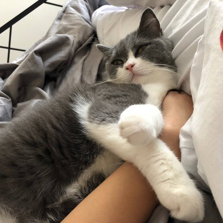 9da49203 fc40 4149 b5bf bfad07dbc346 1534976346677