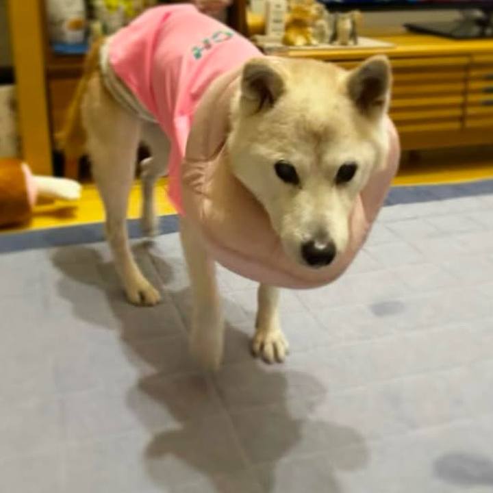 9da5025a eba7 4b88 8d0d 441dc085d609 1736524645583