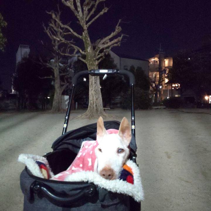 9da505f2 c033 4be6 85de 68466d8eb192 1616497883689