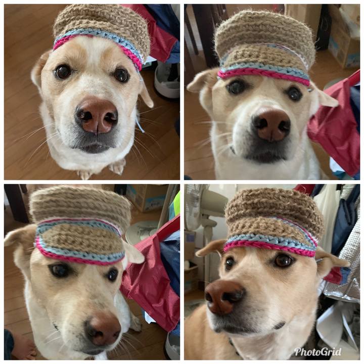 9da5c4e0 07f5 4fa4 aa9b 5f4122e48f55 1558247511521