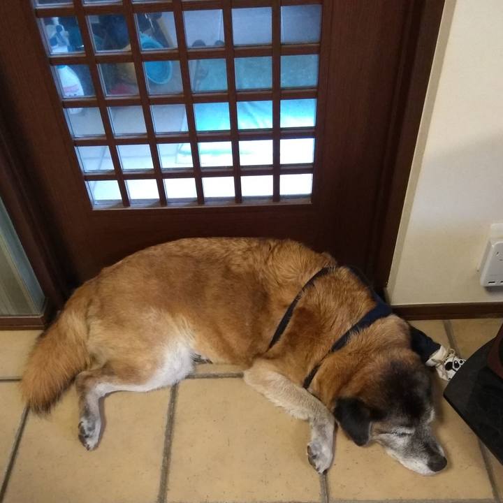 9da5d2d5 73cb 4a91 bdff 051cccfe0f80 1565570327347