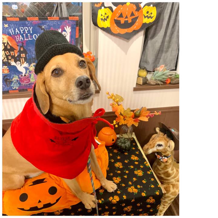 9da5dd6f 0837 4497 a523 09d3979ed733 1572486206514