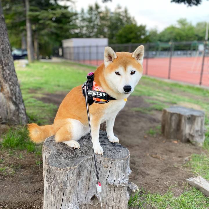 9da5e522 98f8 4b20 8261 f4e8ba8d876d 1629370903791