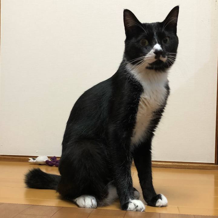 9da5e7ea dc04 4e4b 9dff eec67fdc7cac 1536549928308