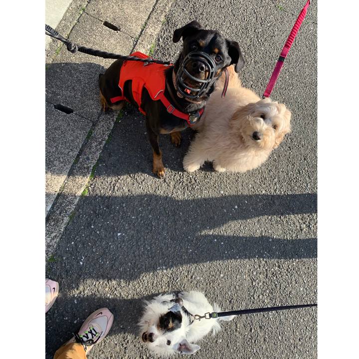 9da5fd99 65bf 4781 99cd c85deb9ee068 1713253087787