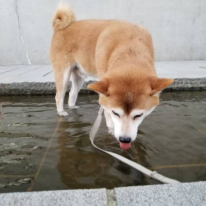 9da60cbc a261 4d19 9222 e1bff604644f 1565947896406