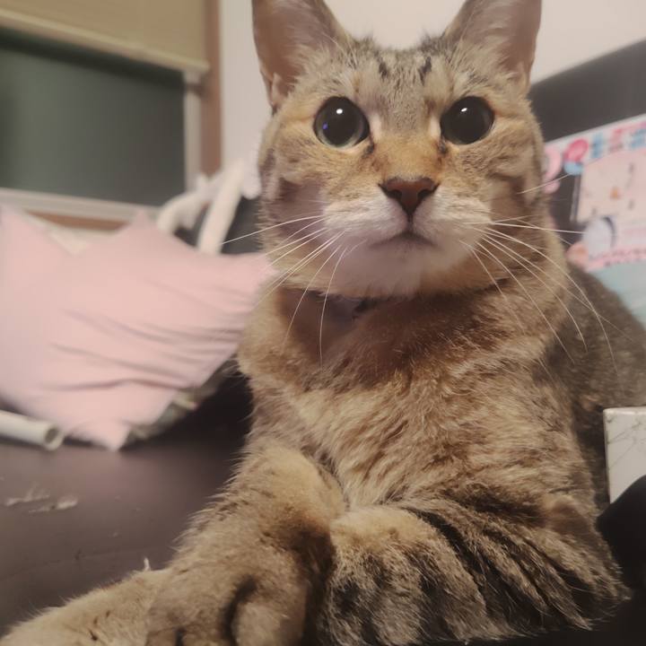 9da63888 40ef 4ea9 839d cb007dfa1a02 1772467234300