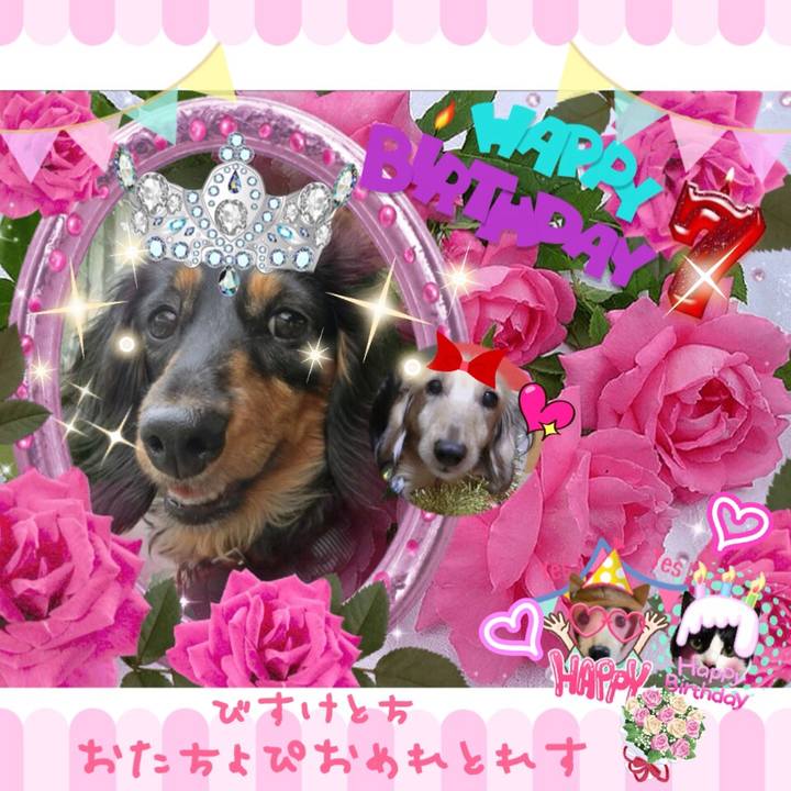 9da65e34 9fa7 49cc 87fc ea8528cdc876 1513467959603