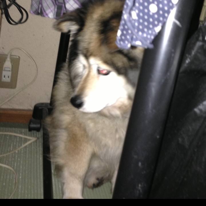 9da68b06 d17f 4a26 95e4 7e09566c9e3a 1614832389116