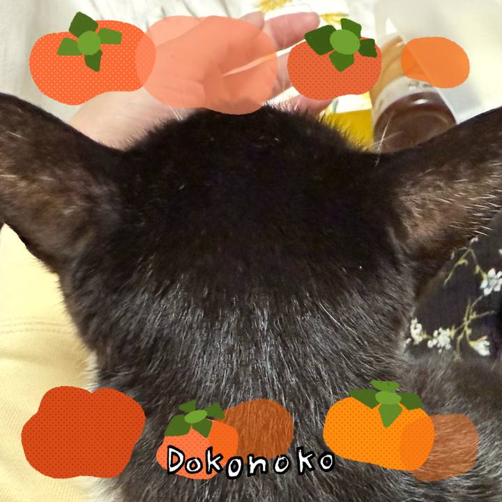 9da695da 6560 4392 ac34 6f50e220d0c1 1762489151570