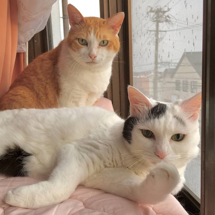 9da6b380 c84e 4a51 81cc be36aa93d717 1594621694254