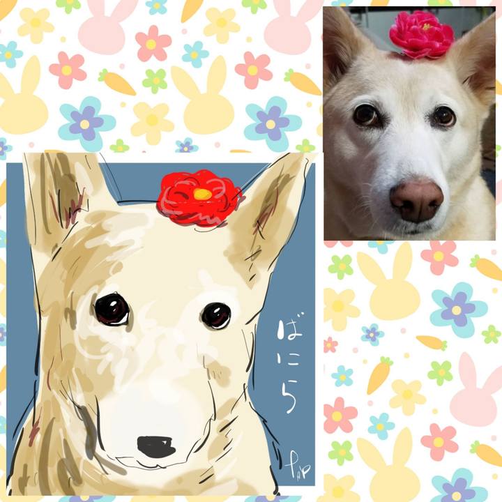 9da6cffc d73b 4d7a 97d2 df6399aa1850 1686625345080