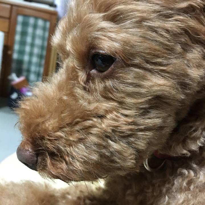 9da748c3 5008 422f a769 97935e75802e 1535109899259