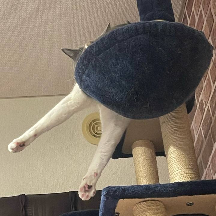 9da748f2 d30d 4d44 94db 058e3830002a 1650545446041