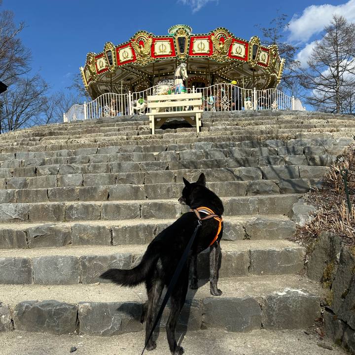 9da74a9f 3078 4c58 9c5f 3bbee60d6f14 1745107674943