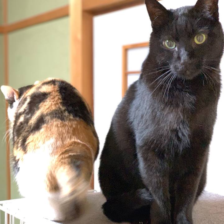 9da765d1 1f38 45dc a7a7 63aae9b91b27 1549765637134