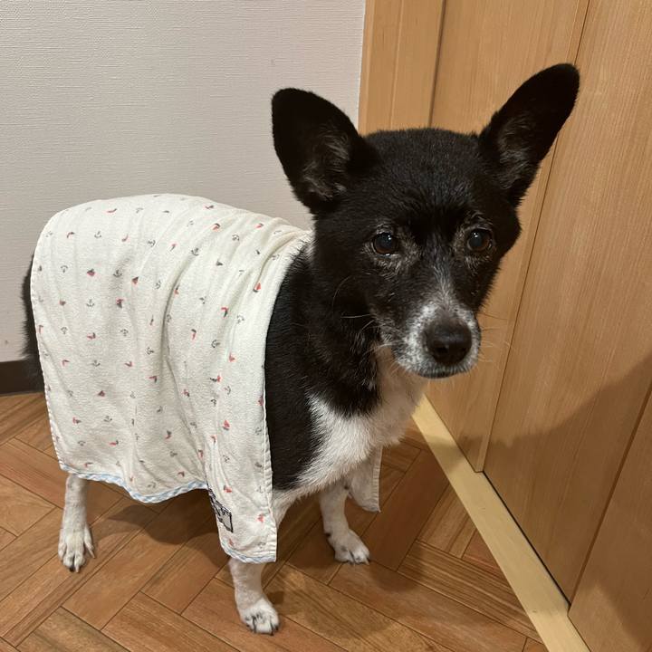 9da77f0d f746 4630 9290 acfc29c35815 1716457409132