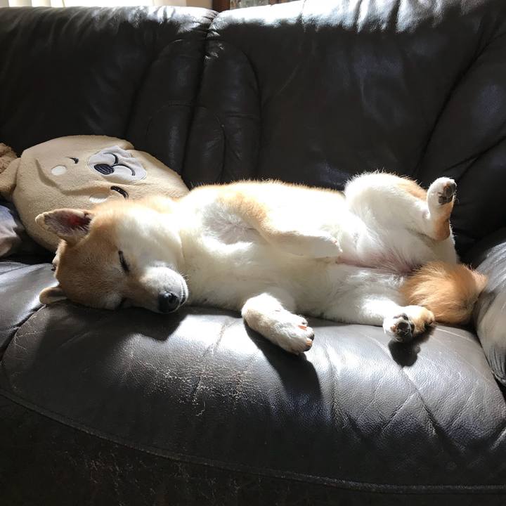 9da7c6d6 ace0 4805 96f6 74dfeb123d61 1526890362572