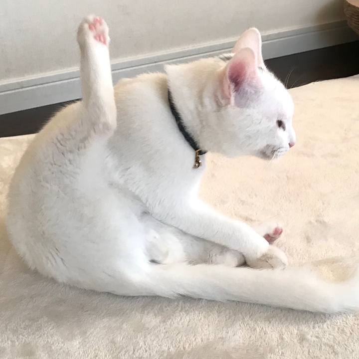 9da7e8a8 82c6 4f46 813b 16113e6f7c8a 1578284094230