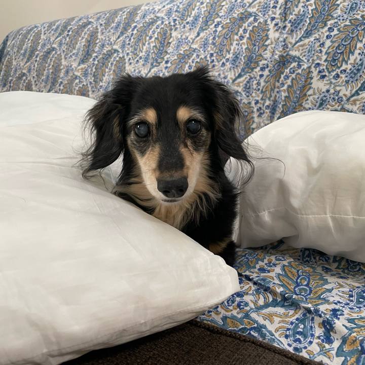 9da7f057 ea3c 497d b292 84423fdfabca 1695605900750