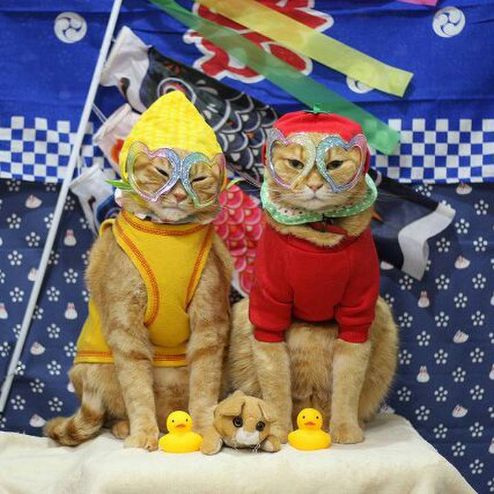 9da86e87 05ae 449a 805a d9301522b999 1523951772284