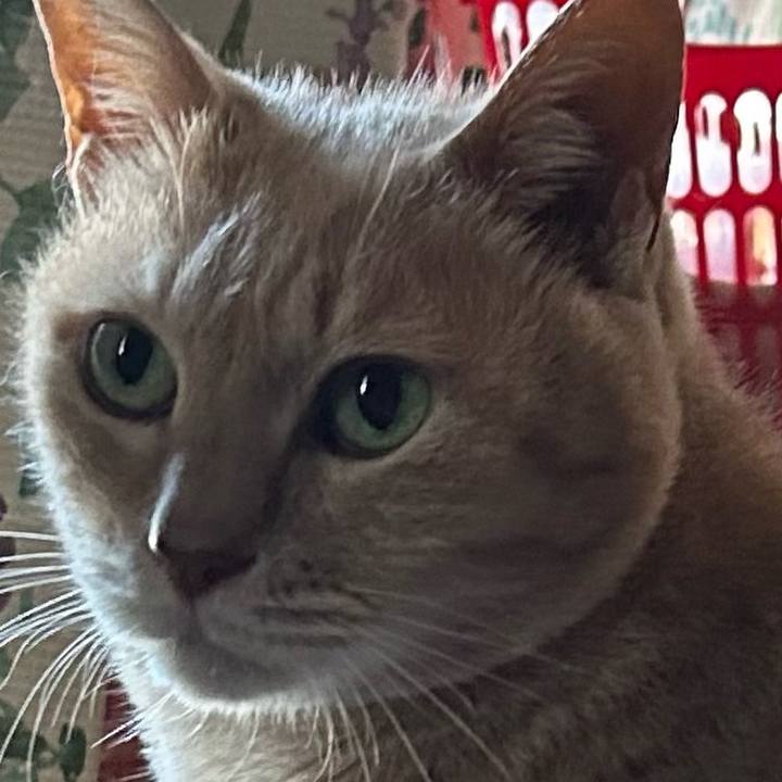 9da86fba c475 41ae aaf5 6af72ff8bda7 1777072254339