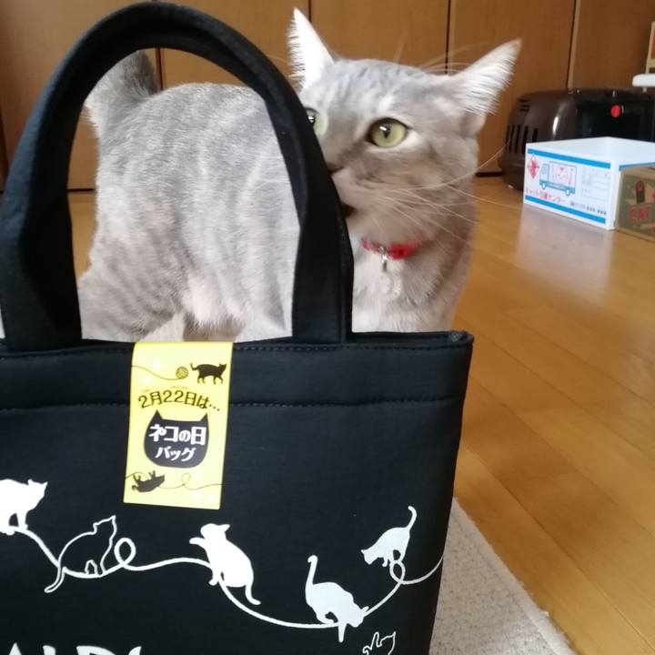 9da8b0d0 0a0e 4740 b898 727701c0eddd 1550812672489