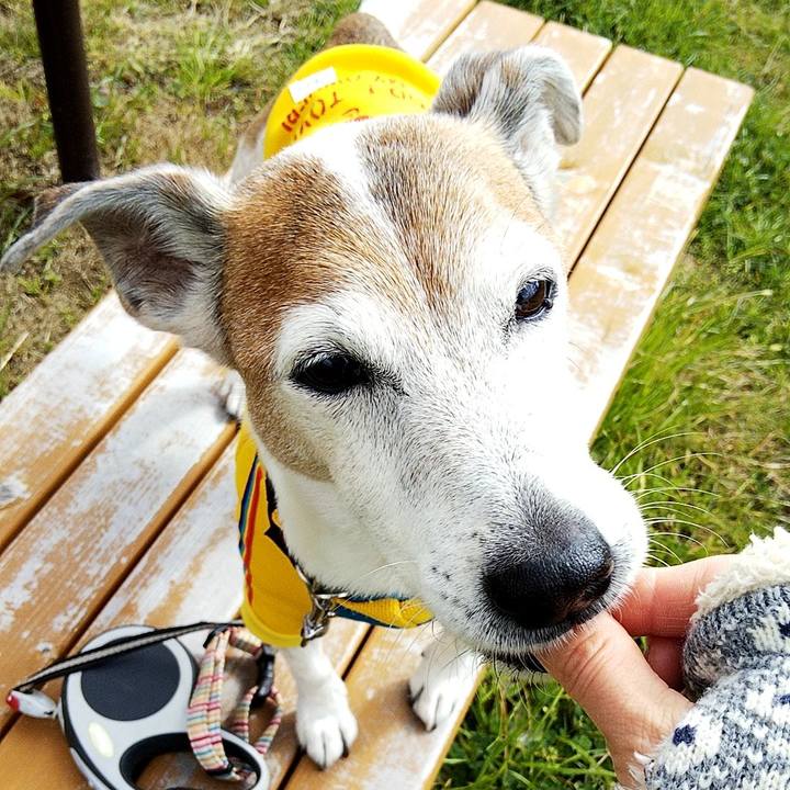 9da8d68b a84c 4d7b a447 f99711fd2c1a 1582440483592