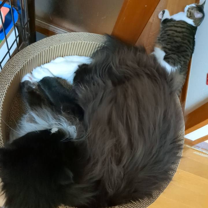 9da8e505 1b08 4a04 a814 6322cdd310a9 1666227253034