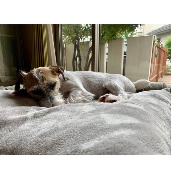 9da8efa0 d90e 4c09 8495 8fa0520ea5ed 1604402008438