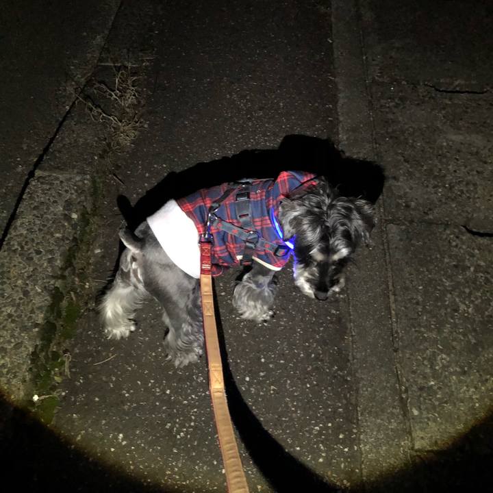 9da90592 bb5d 4773 9e7f 42f3db649201 1667057553416