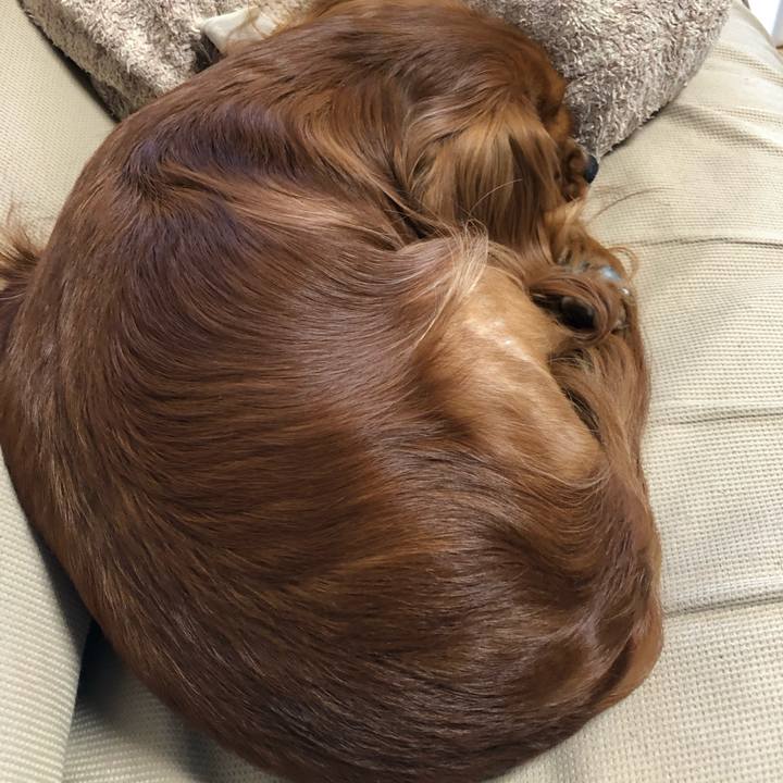 9da907da db89 461f ad2f e2940a1c9370 1570346626560