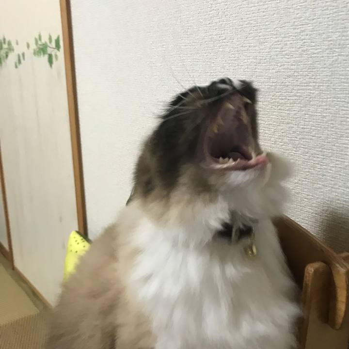 9da91f0f 8a9b 48f9 bdbc 1bab6b7f7b8d 1521032529425