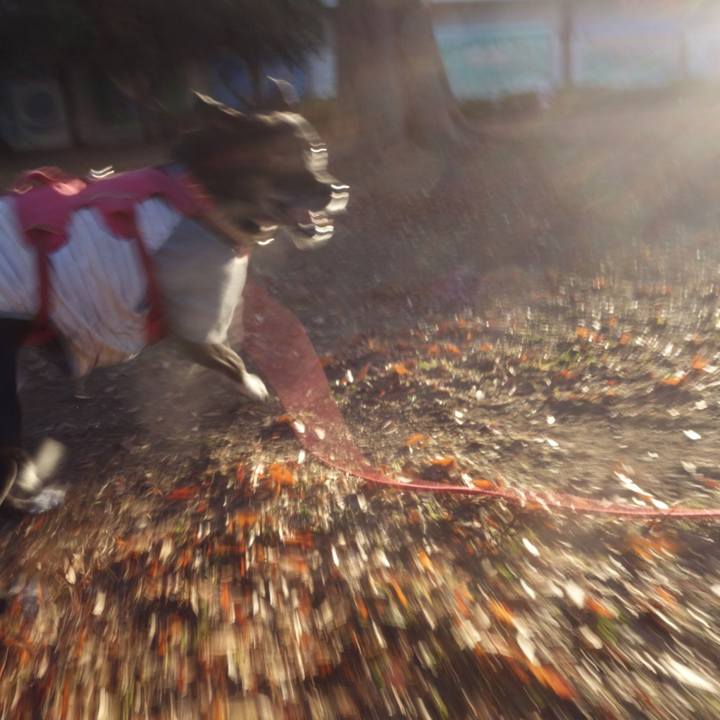 9da928f0 b2fd 4f52 9e6e fb297a0625b7 1701652820539