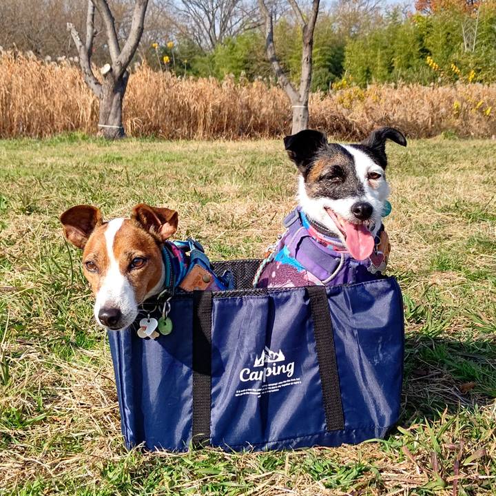 9da93ba2 9ea1 4a8d 9eaf e60c770dc3fc 1702695584843