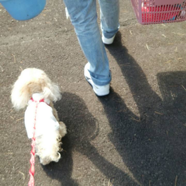 9da95c99 8bf8 4742 b03e 7baa195bc207 1537784256194