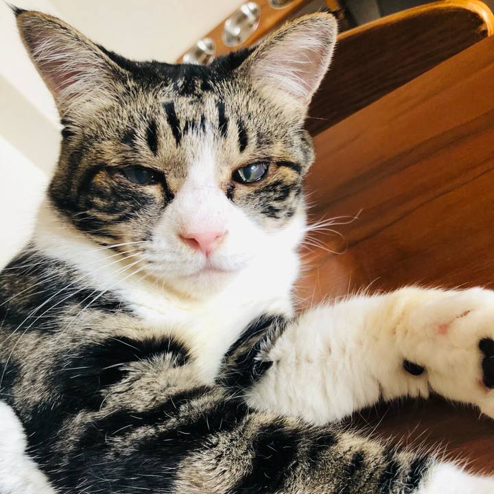 9da99914 0fac 4137 b55c 52db47c2a3dd 1760770661527