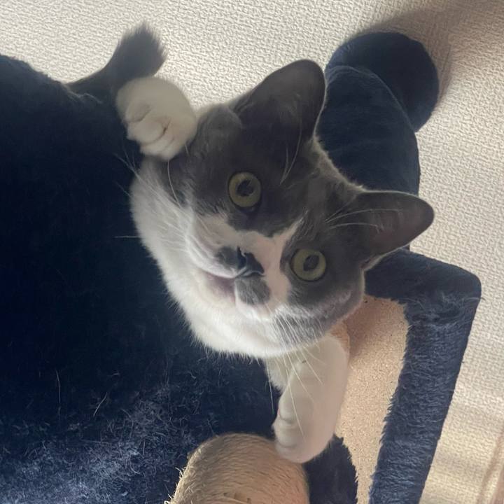 9daa2303 e928 4261 b74b 6759164b282d 1722047856274