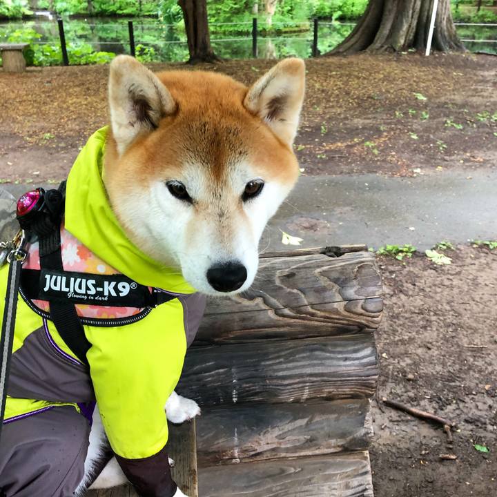 9daa2538 92fe 4999 811f 3c1095de3f3d 1560741422921