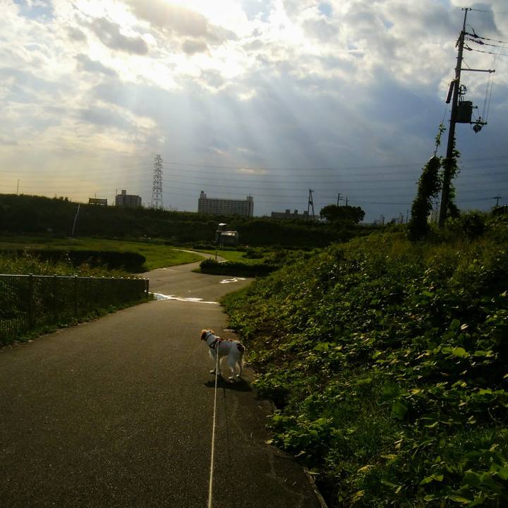 9daa5fa6 2937 45b5 bc29 3953da220f24 1538035650983