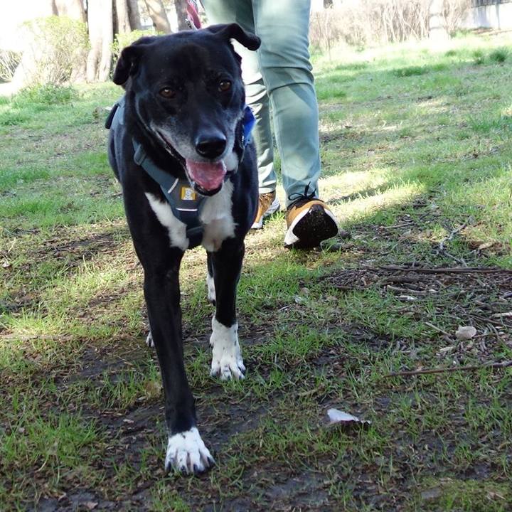 9daa6a3f 2c4e 4a27 bb0a b9943507470c 1711844794497