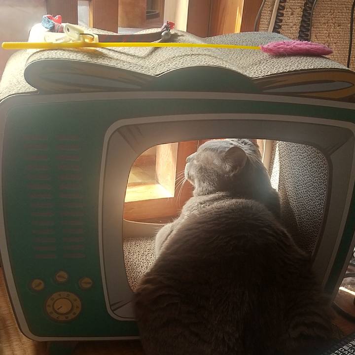 9daaa00f a9c1 429a 8d43 7e75ba96ceeb 1616808249976