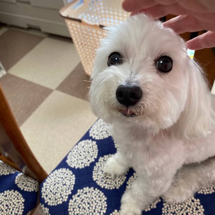 9daaabc2 5380 403a b712 990ff3fae012 1597119762005