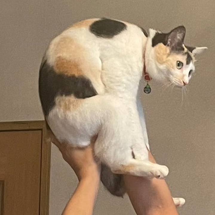 9daad689 9da8 4814 8fda 6bcebe0378e1 1724549794765