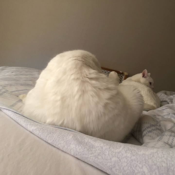 9daae2d9 d6f4 428f 9c6f b0845cfb96b5 1566097298618