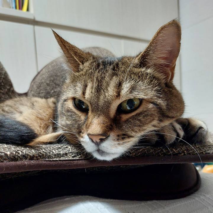 9dab097e ff39 4d96 9b2a 4b6bfe0d2618 1735249164172