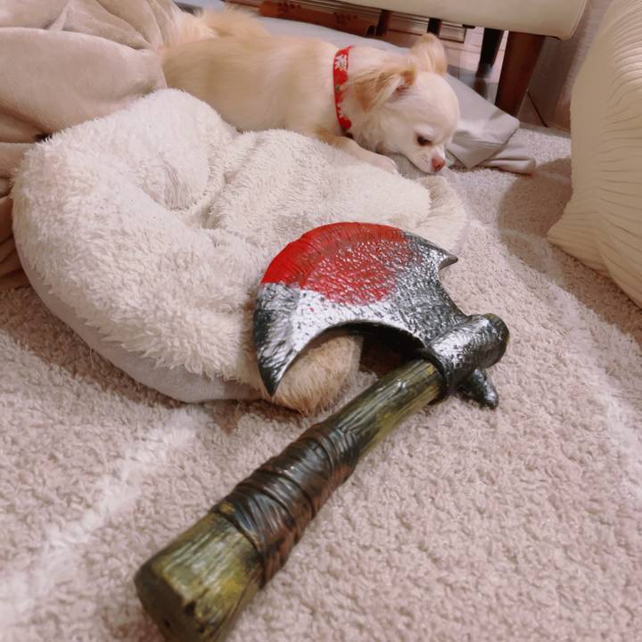 9dab11fb 3f6f 4607 8376 455e8d408152 1760020366138