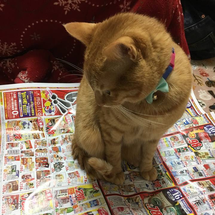 9dab1a27 8d2c 43ff 8d36 06206809c7aa 1518521349919