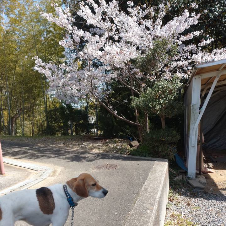 9dab1fb4 9cdd 4c33 ae79 096e3dc240f8 1617166741276